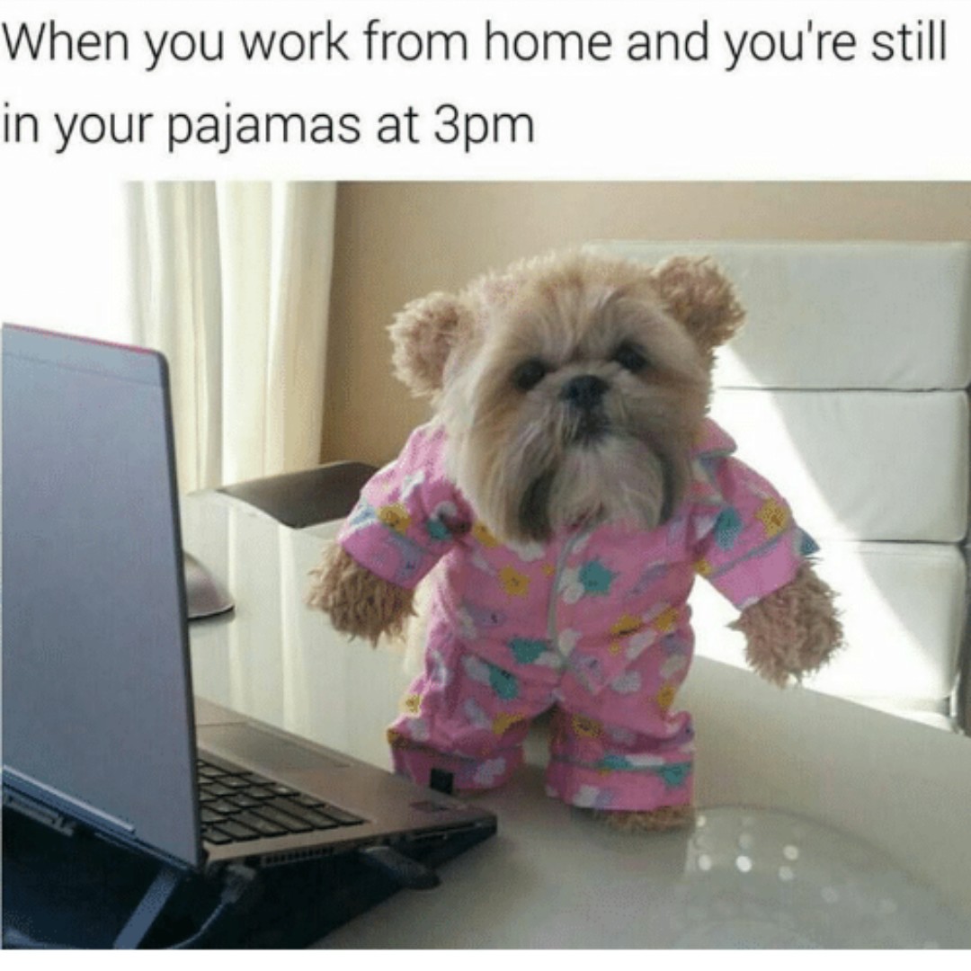 ThinkPipeline's tweet photo. RT if you have been guilty of working in your PJs at home! 😄

🥸 Read on our LinkedIn page the benefits getting our your PJs at work: https://t.co/2ZbRIYrXwN

➡️ How do you stay motivated from working from home? Comment below!⬇️ 

#leadgeneration #wfh #blogging #mentalhealth https://t.co/C8YCC6w5Iq