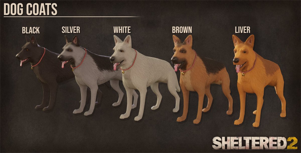 Sheltered 2 tweet media