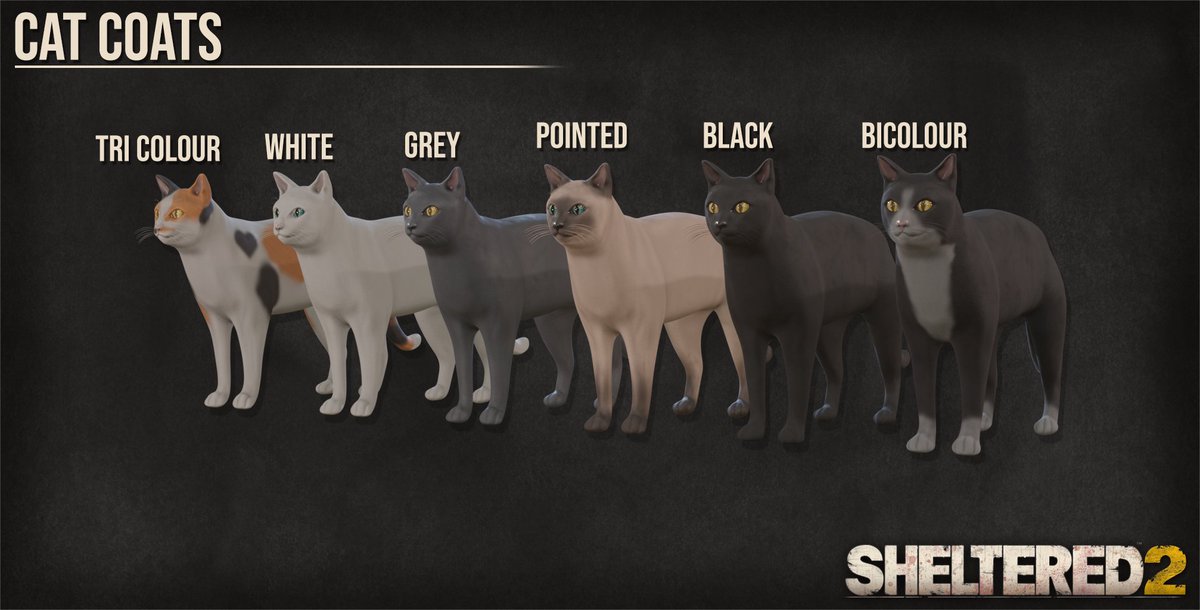 Sheltered 2 tweet media