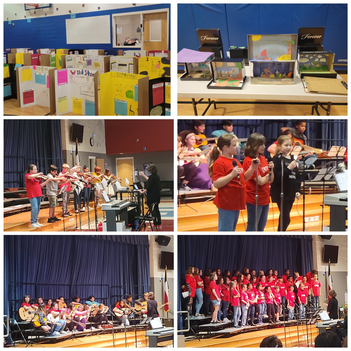 shellcroff's tweet photo. A great evening of academic and creative talent! #OurFES 🦅 @Freiheit_MUSIC https://t.co/Pz3jZOxXjr