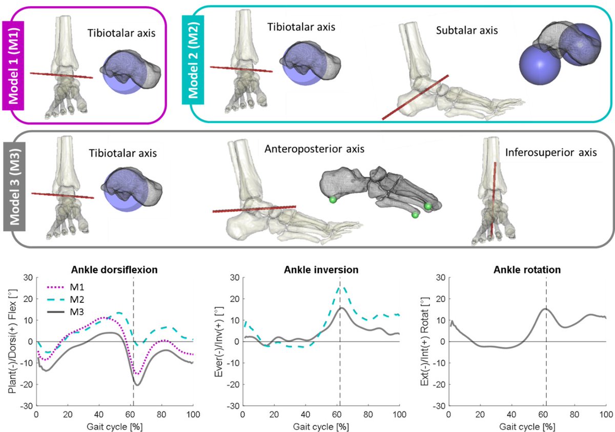 MultiSim tweet media