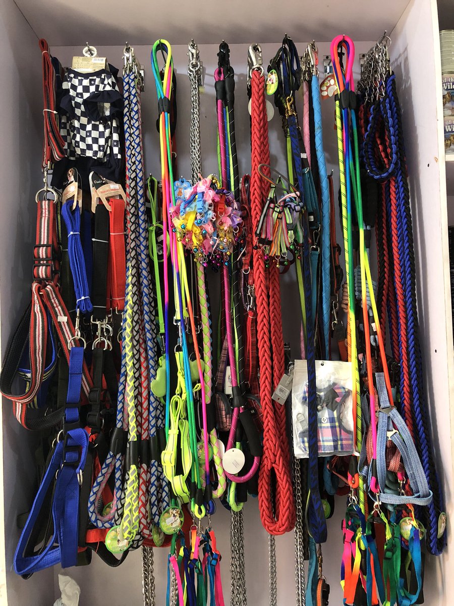 PetPlusVets's tweet photo. Pet supplies???? We’re your plug.
All things pets. #dog #pets #petplusvets #petshop #cat #Trending https://t.co/kfPnuArJ6U