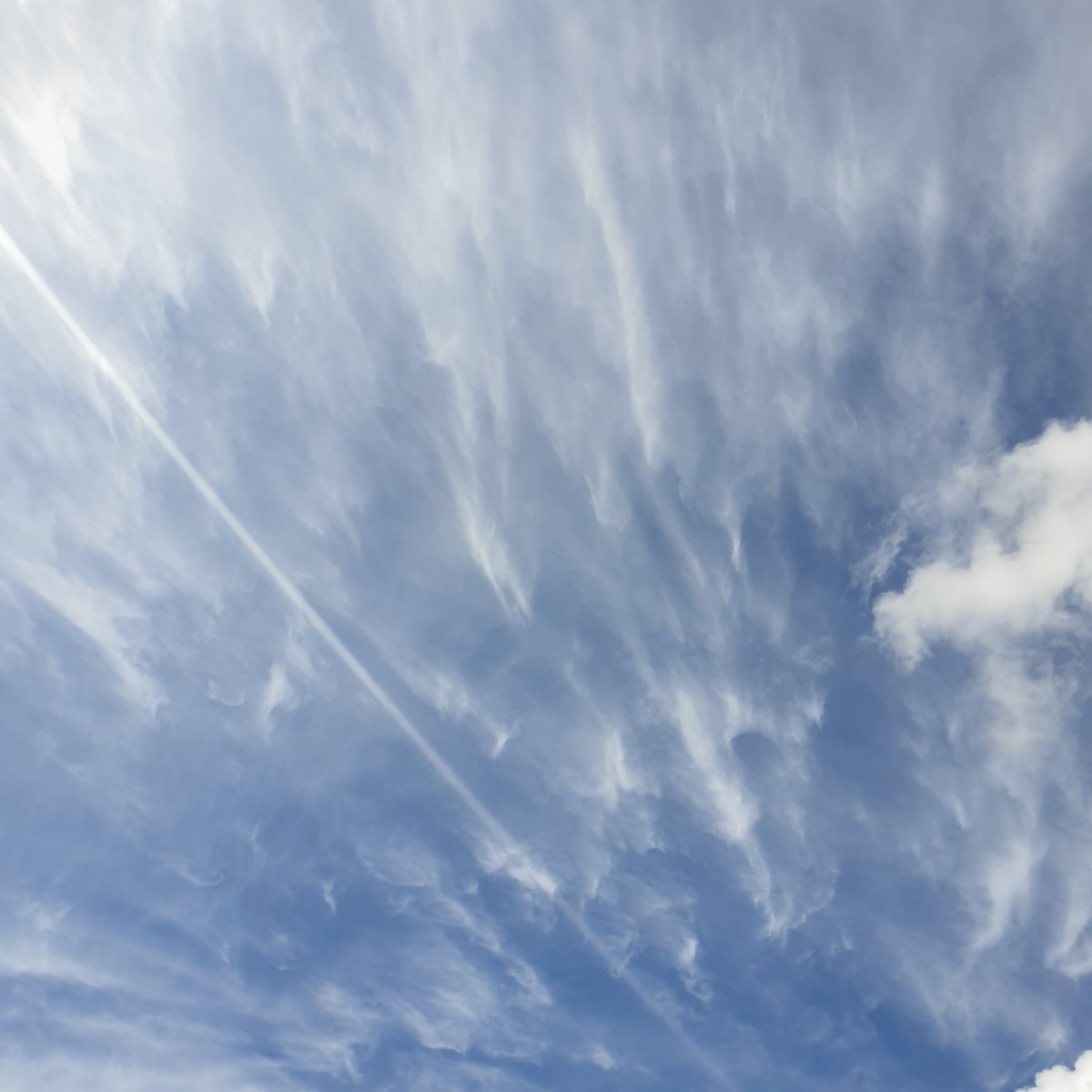 ANGRYNIC tweet media