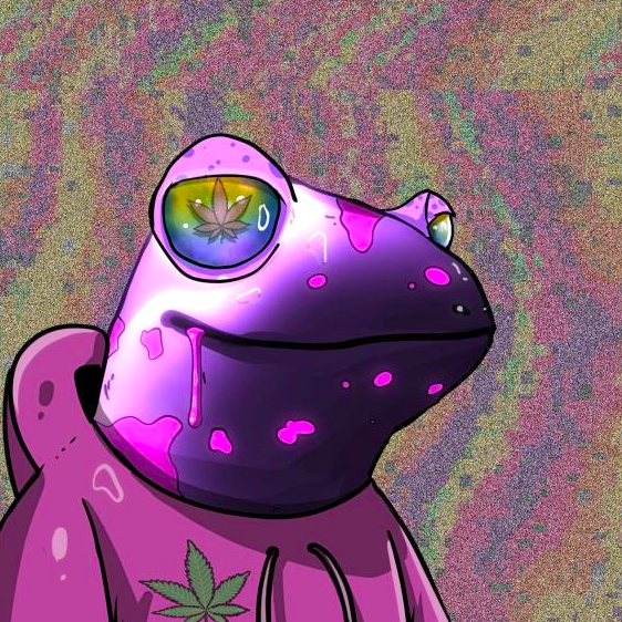 Chairhead4's tweet photo. STONED FROGS !!!!!!!!!!! TO THE MOOOON 
#RIBBIT #ribbit #Ribbit https://t.co/0nqG5bKS09