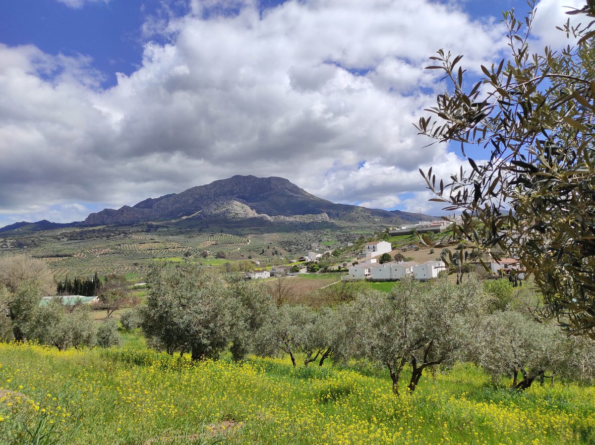 CasaRuralLaVilla tweet media