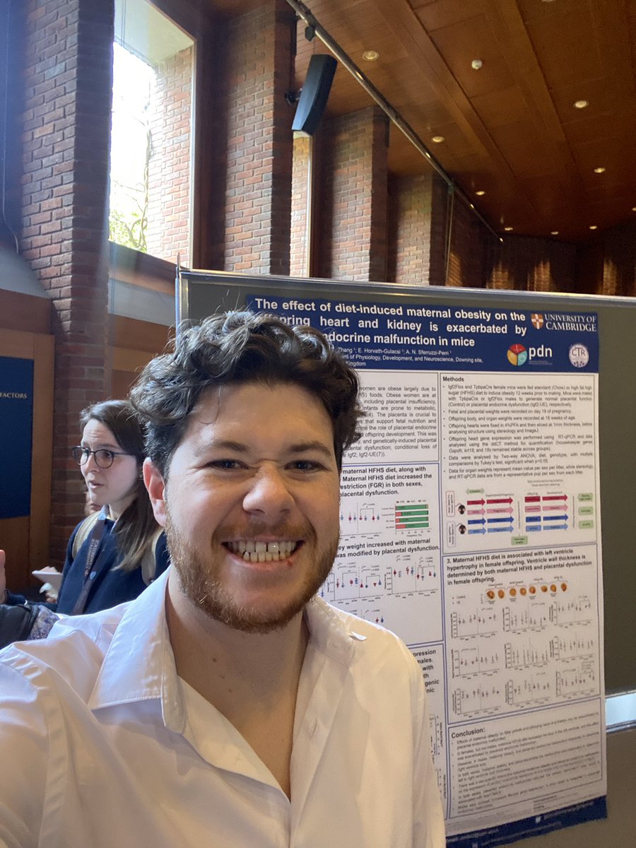 I made my poster in PowerPoint. Don’t @ me #AcademicTwitter