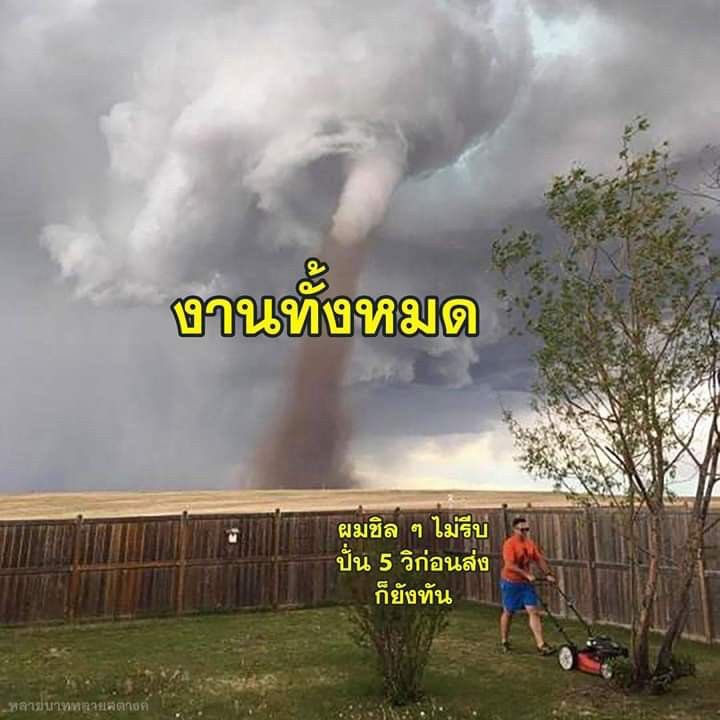 kkrumkrum tweet picture