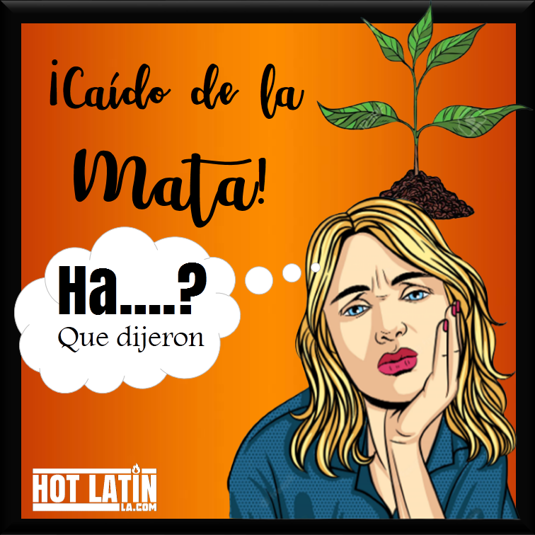hotlatin_la's tweet photo. A propósito del #420: entérate del significado de la #MATA en #Venezuela
#Cannabi #marihuana #MATICA #venezuela #diamundialdelamarihuana #unsolopueblo #CharlieMata #MataRica #Lamatica #Enyerbao #laseca
https://t.co/IGUMrOiIlE https://t.co/xShtCzsV8k