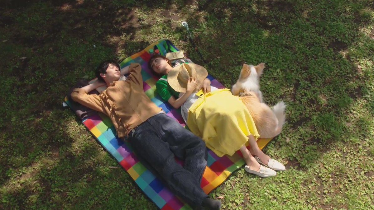 shiningsuk's tweet photo. A year ago we met and fell in love with Shun and Mashiba. I miss this drama so much. 

#kikazarukoi #着飾る恋 
#川口春奈 #横浜流星 https://t.co/XQbfoPnNjC