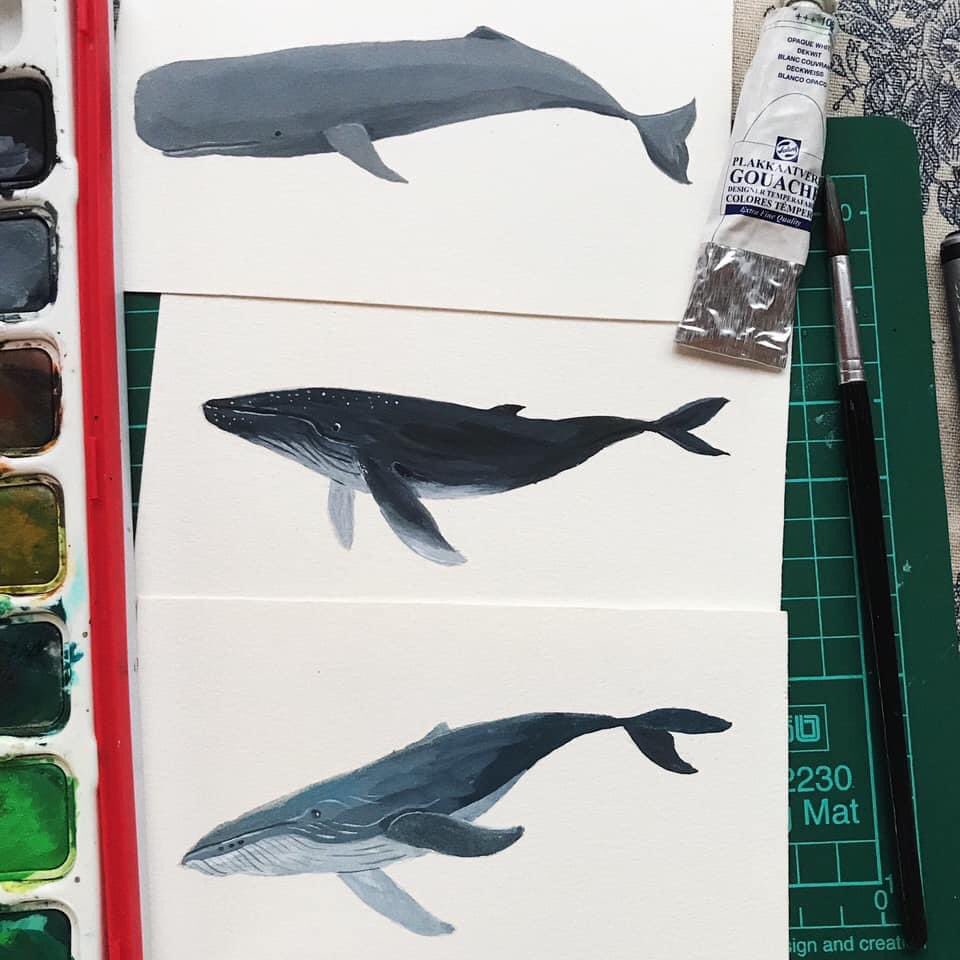 สีกวอชกับคูมวาฬ