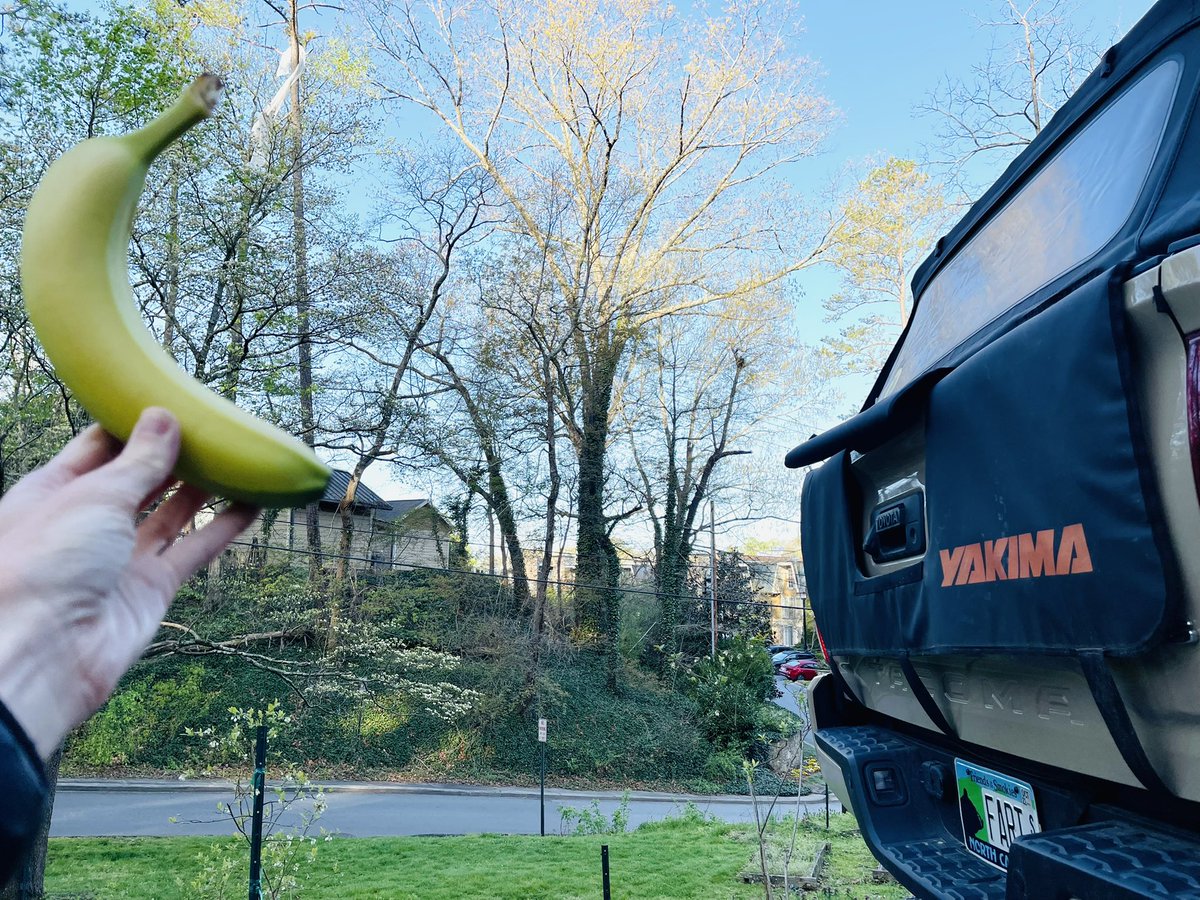 Friends of Asheville Recreational Club F.A.R.T. (@fart_avl) on Twitter photo Stopped by to check out <a href="/mc_tarpy/">TarpyMcTarpface</a> and see if we could lend a hand but <a href="/ReallyTallPine/">ReallyTallPineTree</a> is very tall. Banana for scale. Stopped by to check out <a href="/mc_tarpy/">TarpyMcTarpface</a> and see if we could lend a hand but <a href="/ReallyTallPine/">ReallyTallPineTree</a> is very tall. Banana for scale.