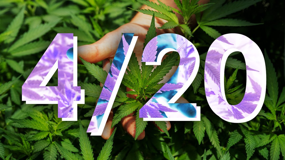 ItsTheInventory's tweet photo. Here's the CBD our editors recommend for making any day 4/20 https://t.co/TilRh5qfnf https://t.co/Fn1qwhLwaV