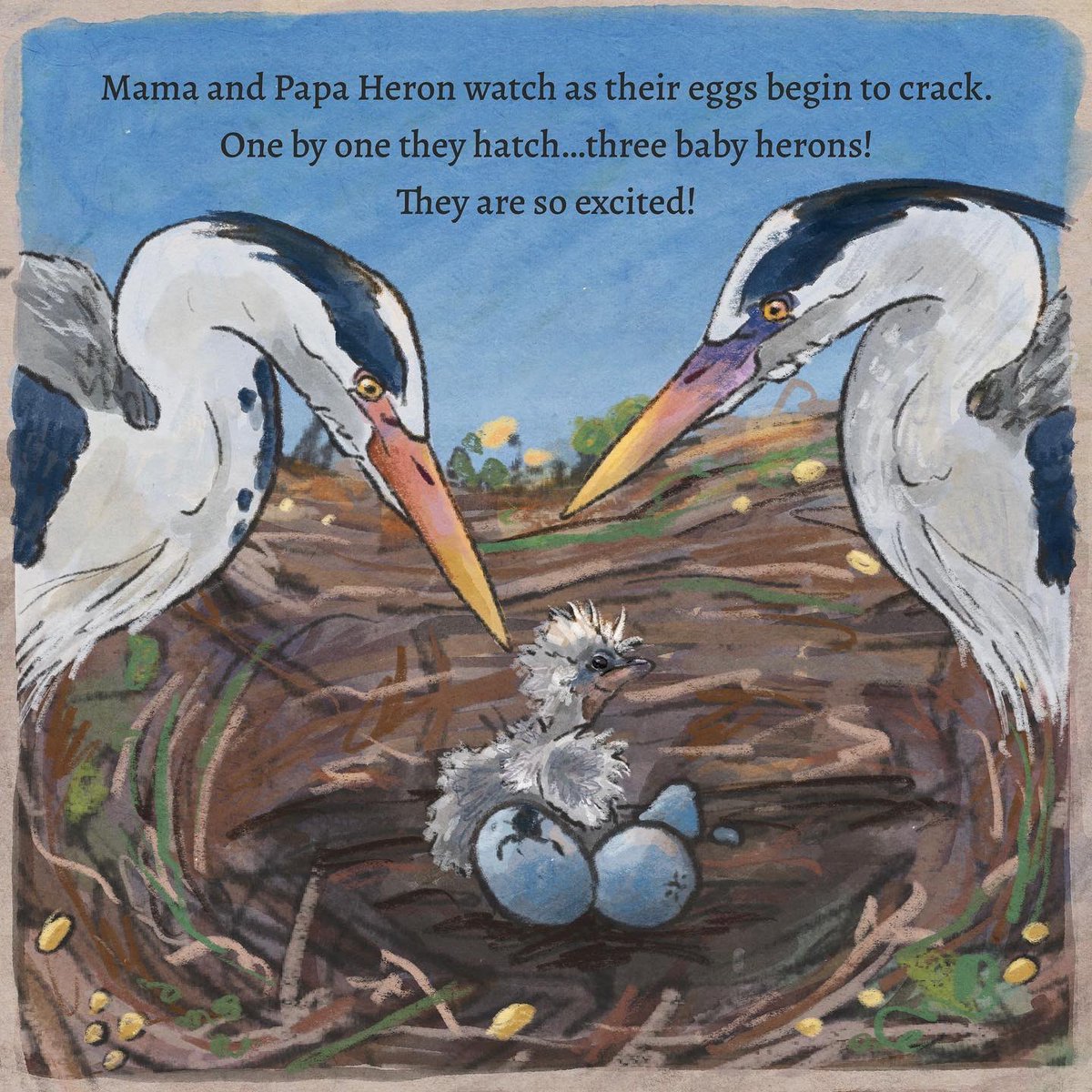JulieK_Art's tweet photo. “Mama and Papa Heron watch as their eggs begin to crack. One by one they hatch…three baby herons! They are so excited!”

#SpringToLife2022 : New Life 🪴

#kidlit #ChildrensBooks #illustration https://t.co/LRSF82NQA3