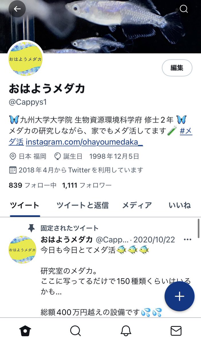 おはようメダカ Cappys1 Twitter