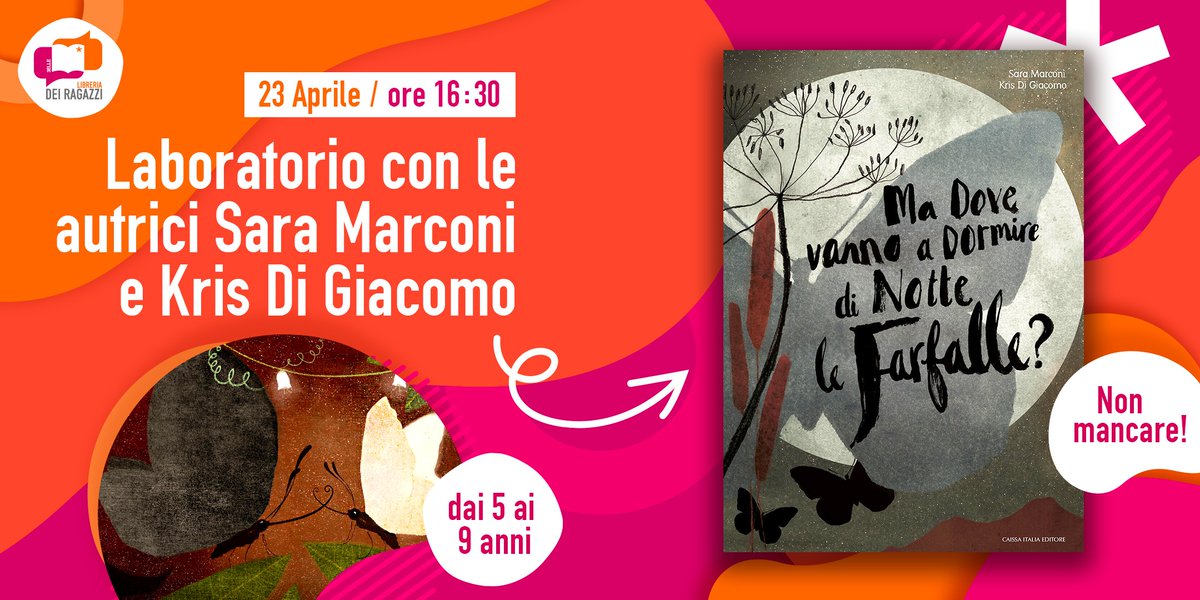 Kris Di Giacomo tweet media