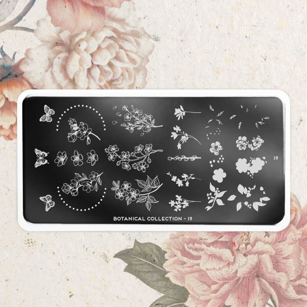 MoYouLondon Official tweet media