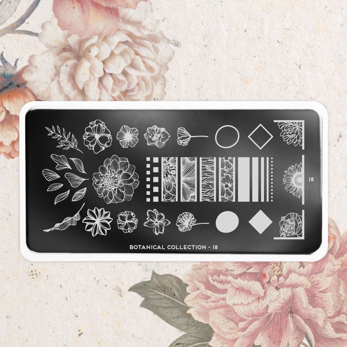 MoYouLondon Official tweet media