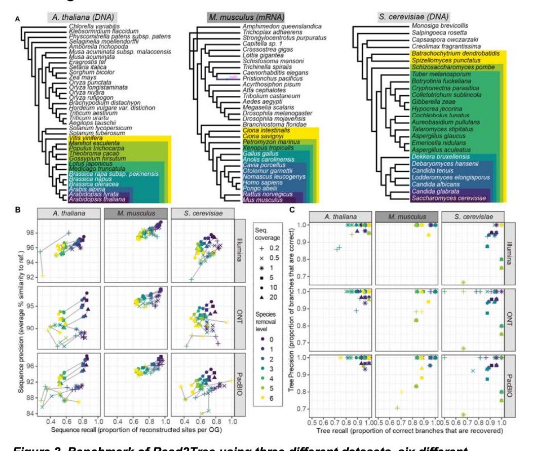 Read2Tree: an assembly-free comp. genomics method for small &amp; large-scale projects. Works on @Pacbio <a href="/nanopore/">Oxford Nanopore</a> <a href="/illumina/">Illumina</a>&amp; RNA/DNA &amp; low coverage 0.2x+. Get your phylo tree from raw reads in minutes! e.g #COVID19 biorxiv.org/content/10.110… <a href="/ddylus/">David Dylus</a> <a href="/cdessimoz/">Christophe Dessimoz</a> <a href="/BCM_HGSC/">BCM HGSC</a> #Bioinformatics