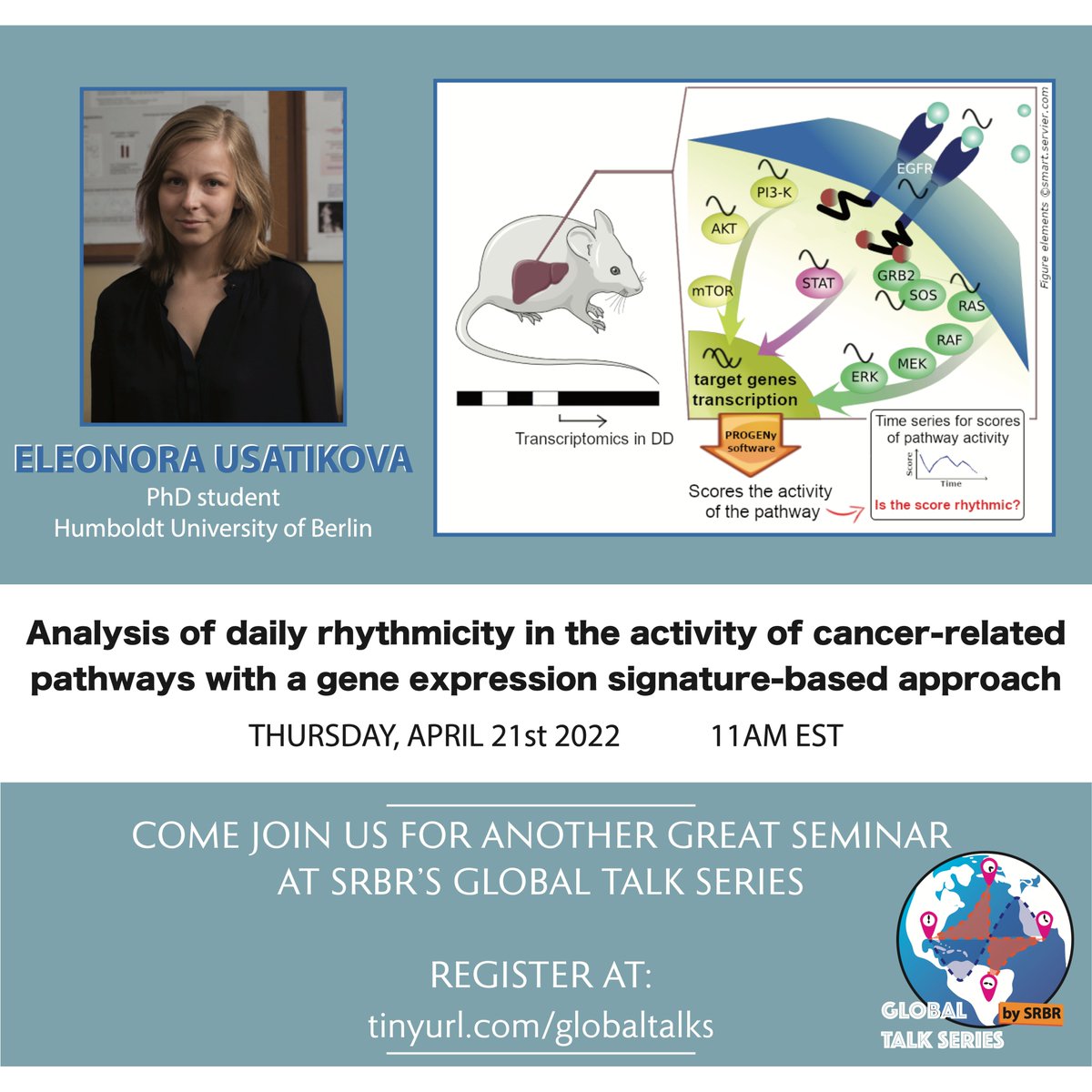 Society for Research on Biological Rhythms tweet media