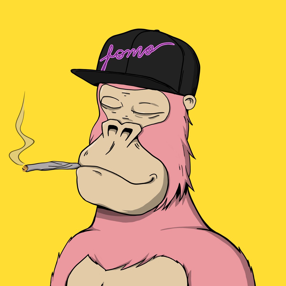 _King_Puff_'s tweet photo. @SIDD_ADA Mr. #ChinChillin https://t.co/ZUxv8VvFa1
