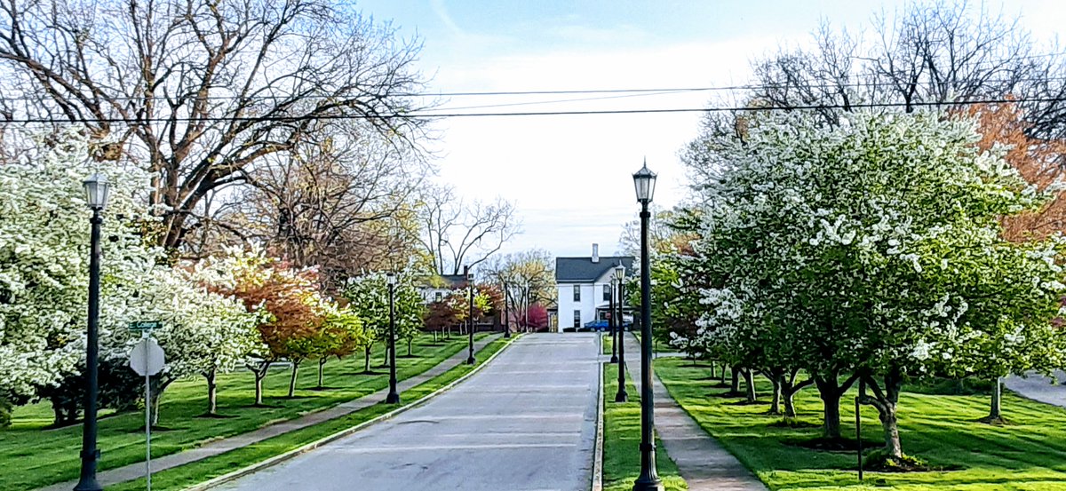 GtownCollege's tweet photo. Spring is showing off on campus today! https://t.co/4e8F7DCu12