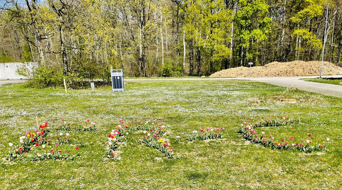 Springtime in Jülich - the Ernst Ruska Centre (ER-C) is growing and thriving