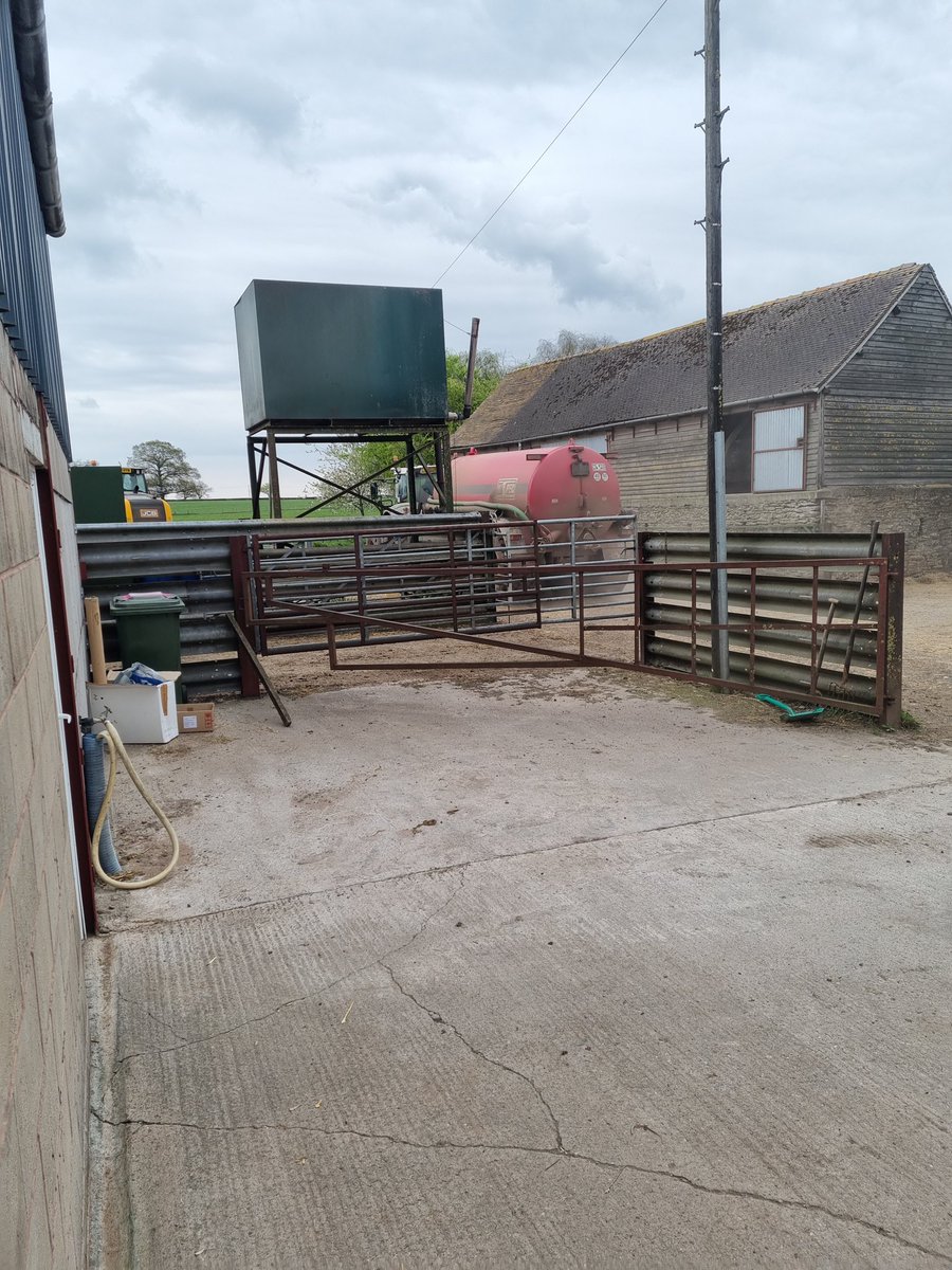 MottramRichard's tweet photo. It's all go today maize 2022 is a go #dairy #plants https://t.co/bdFQu9WsFj