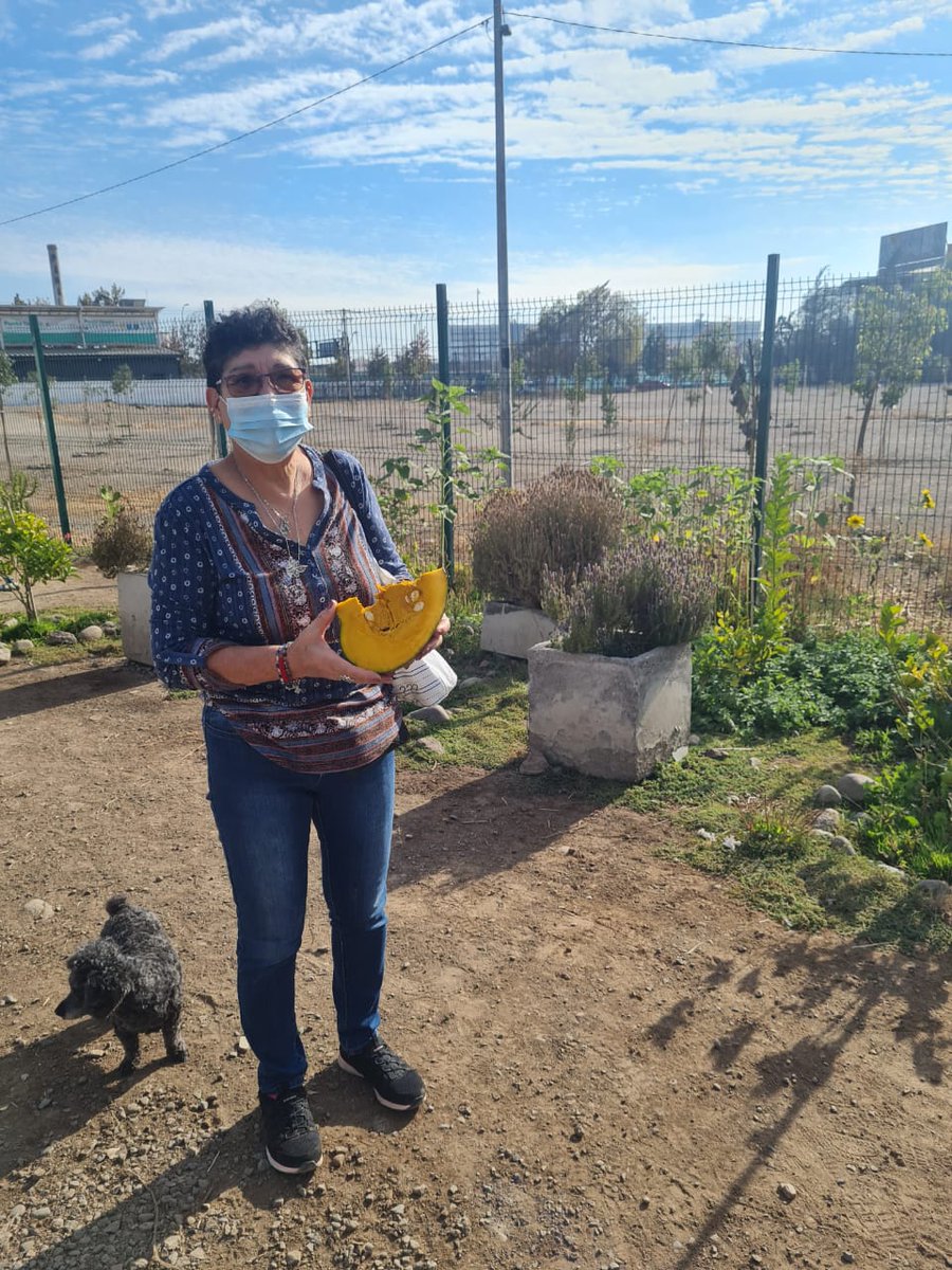 Queremos compartir con ustedes, algunas fotitos📷 de entrega de Zapallo, a vecin@s que realizan reciclaje♻️orgánico, en nuestro "Centro de Practica Ambientales"🌱