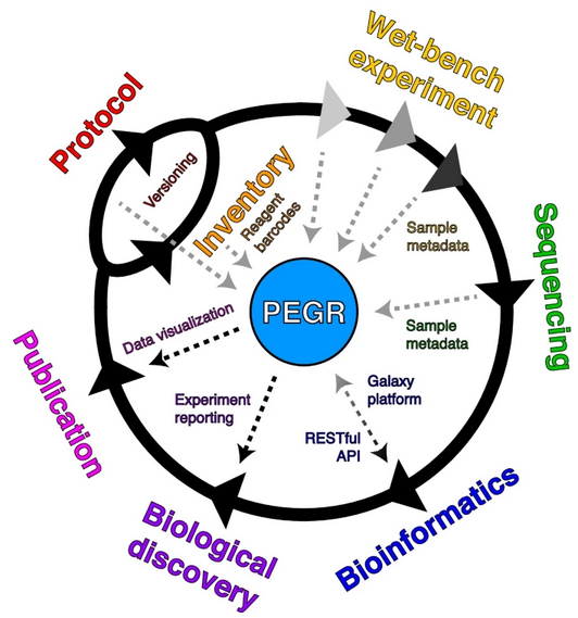 GenomeBiology's tweet image. Shao, @WilliamKMLai &amp;amp; co present PEGR, a platform for epigenomic and genomic research. It&apos;s an end-to-end management platform that tracks experiments from sample information for the wet-lab work, through sequencing and analysis, to figures for publication genomebiology.biomedcentral.com/articles/10.11…
