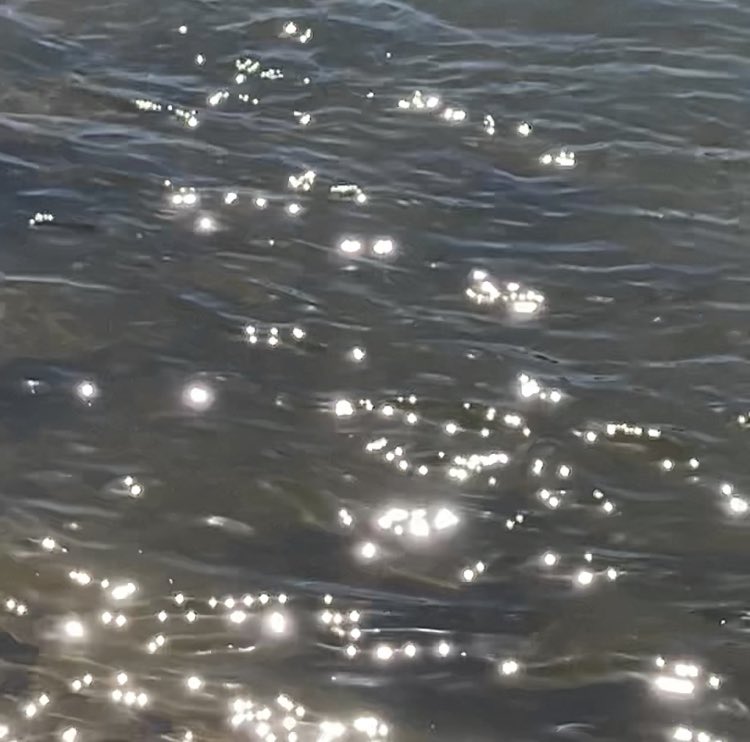 Was rauschet,was rieselt,was rinnet so schnell?Was blitzt in der Sonne? Was schimmert so hell?Und als ich fragte, da murmelt der Bach:„Der Frühling und das neue EMMA6-Album sind wach!“(Frei nach Heinrich Seidel) Gibt es bei uns im Shop als Vinyl und CD.rebrand.ly/e6album