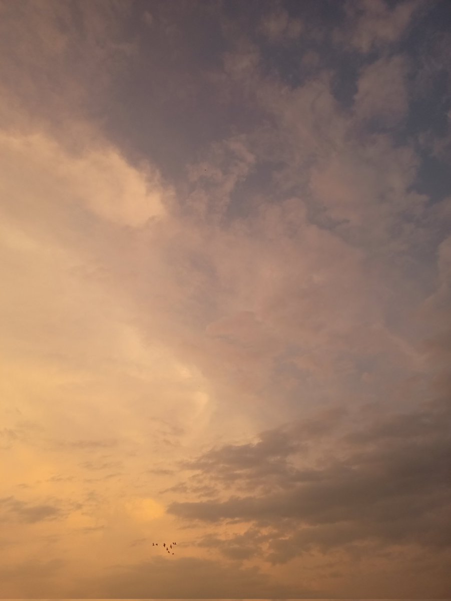 SurjithBose's tweet photo. West to East 🧭 https://t.co/bwf0xwxKNj