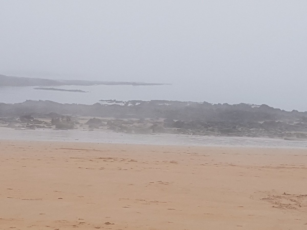 Anne-Theresa Lawrie tweet media