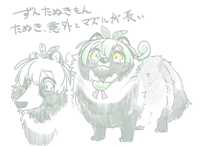 ずんたぬきもん。夏毛のたぬき、マズルが長く見える 