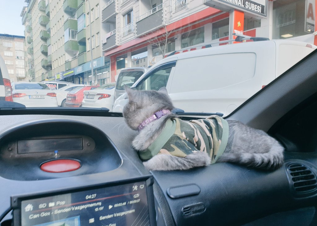 Su Rahatlığı Bende Istiyomm🤣🙋‍♂️👮‍♂️