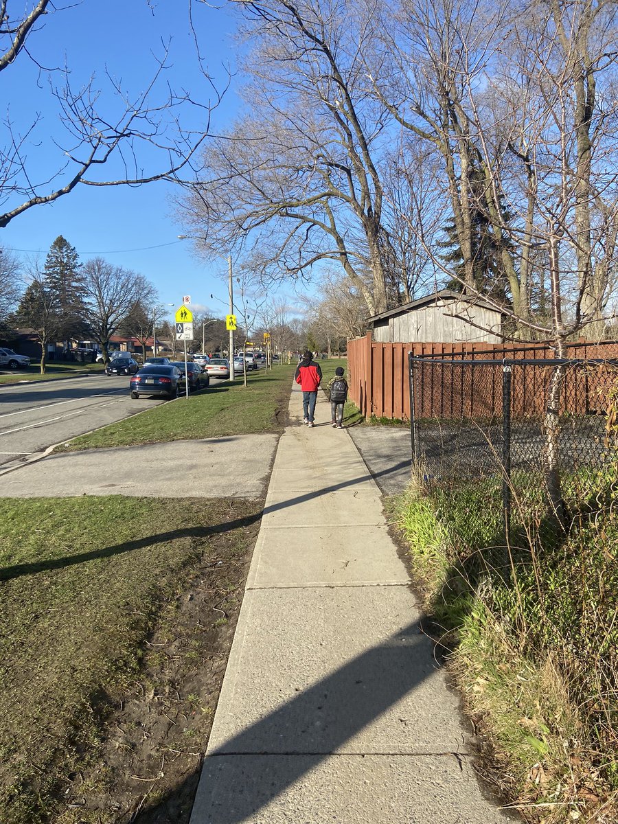 Bellmere Junior PS tweet media