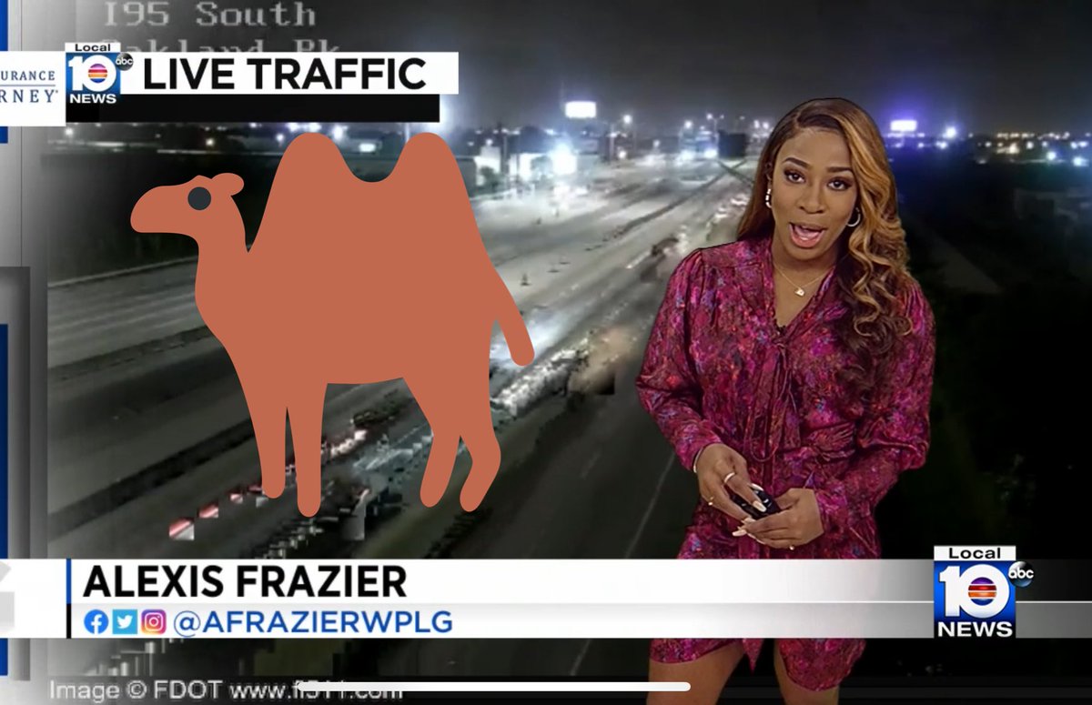 watchertv2000's tweet photo. #humpdayfunday @AFrazierWPLG Wednesday Wednesday Wednesday ๐ https://t.co/3Ovy30ZpJM