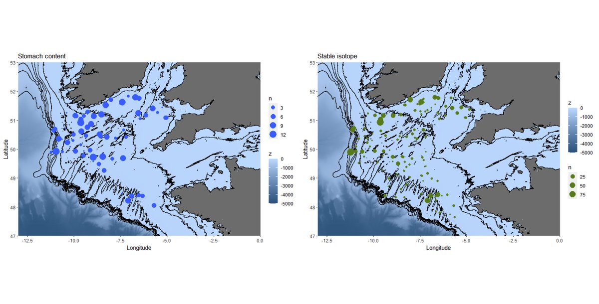 ESAEcology's tweet photo. A new Data Paper in @ESAEcology:
TrophicCS: Spatialized trophic data of the Celtic Sea continental shelf food web
https://t.co/AVrqGwYMjv
With #OpenData in @seanoe_data
#MarineFoodWebs
#GutContentAnalysis
#StableIsotopes
#OpenScience https://t.co/NpuuLvSUQo