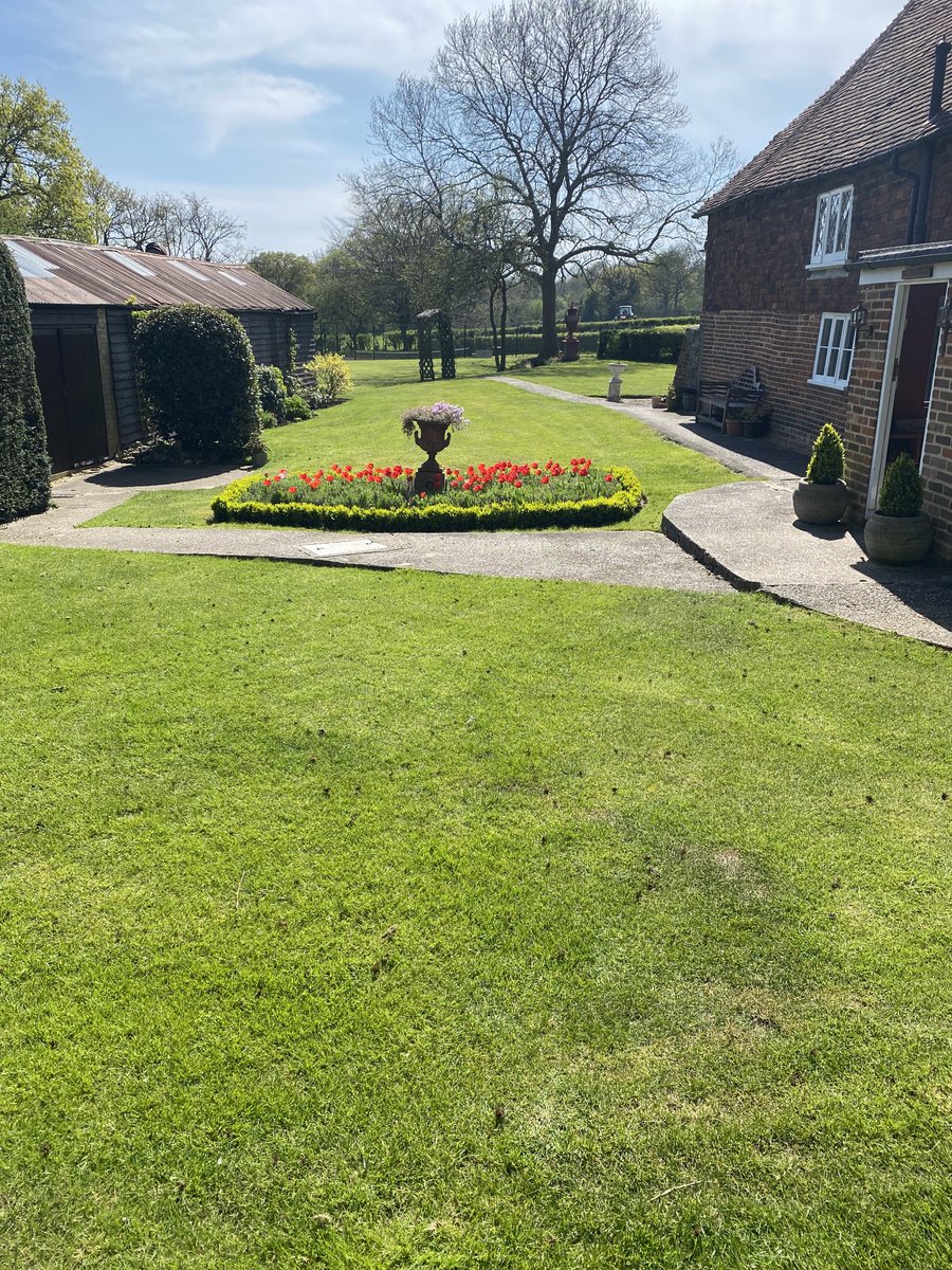 Taking a garden rest at home! Cuppa tea time #Tulips 🌷#Meopham #Kent