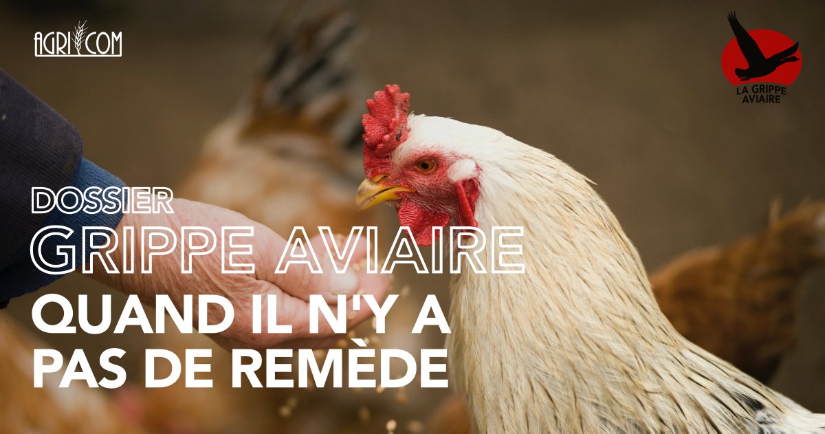 Journal Agricom tweet media