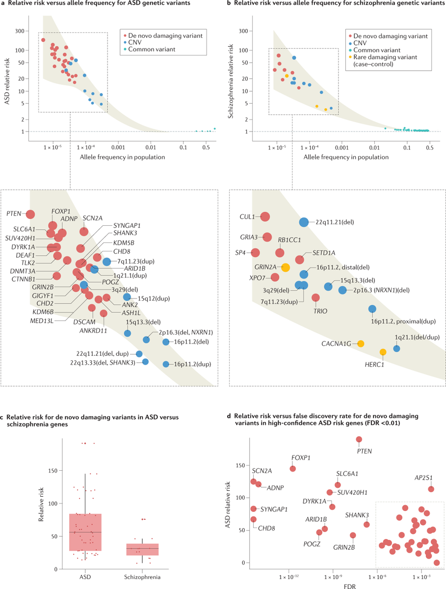 Genomics, convergent neuroscience and progress in understanding autism spectrum disorder – a new Review by Helen Rankin Willsey, A. Jeremy Willsey, Belinda Wang &amp; Matthew W. State
<a href="/goodfrognosis/">Helen Willsey</a> <a href="/belinda_p_wang/">Belinda Wang</a> <a href="/WillseyLab/">Willsey Lab</a> <a href="/UCSFPsychiatry/">UCSF Psychiatry and Behavioral Sciences</a> <a href="/UCSF/">UC San Francisco</a> 

go.nature.com/3EKAUOR