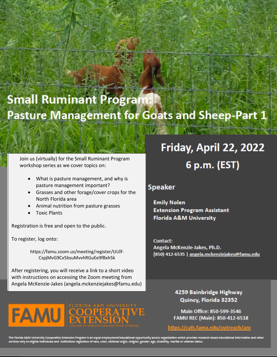 FAMUExt's tweet photo. Upcoming Training Classes on Small Ruminants (Goats &amp; Sheep)! The #trainingsessions will be held on Zoom &amp; Google Site (self-paced). Registration is free! #ag #famuext
Session 1 Registration Link: https://t.co/7JMpYBf6Zl
Session 2 Registration Link: https://t.co/ORb6LLc65a https://t.co/Hlyxf6vrFD