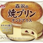 【新発売】森永焼プリンがアイスになった!外サクッ中とろ〜りアイス。