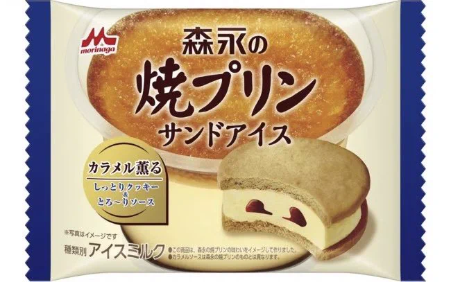 【新発売】森永焼プリンがアイスになった！！外サクッ中とろ〜りアイス。
