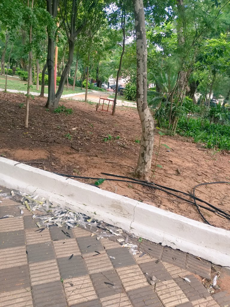 EnriqueV1902's tweet photo. @oscarodriguezpy hay como 7 asignados en la plaza Italia siempre pero la plaza siempre sucia. Todos los cuidados siempre en cerrar pero la limpieza si lo hacen, lo hacen con ramas de palmera, no tienen aparentemente herramientas por eso no limpian. https://t.co/oo38fVlNOf