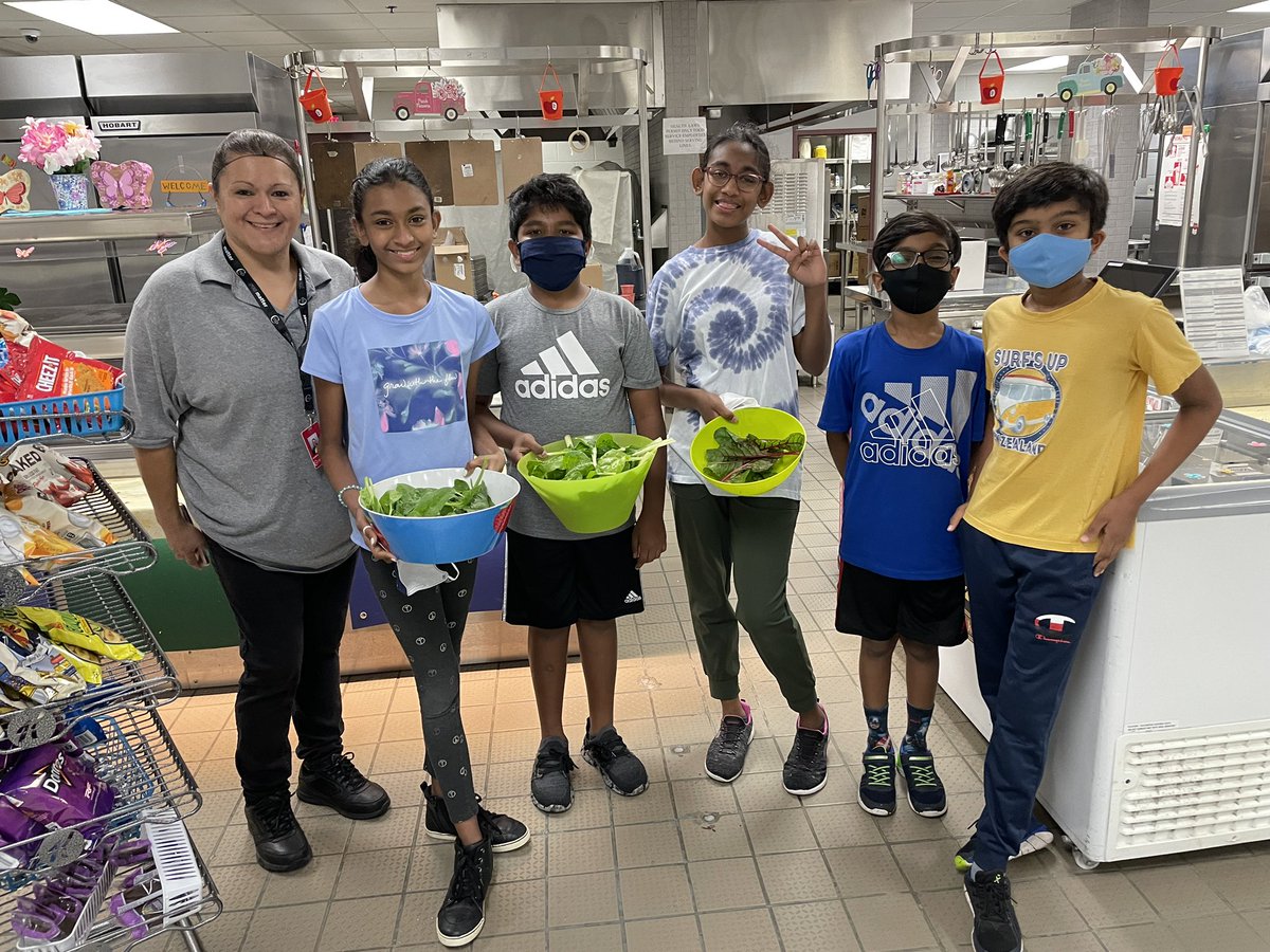 Farm to table! Thanks for your help in harvesting lettuce, spinach and chard for our lunches today @DCEtrailblazers! @Li_son5 <a href="/CISDNutrition/">Coppell ISD Child Nutrition</a> <a href="/CISDFarmerLarry/">Farmer Larry</a>