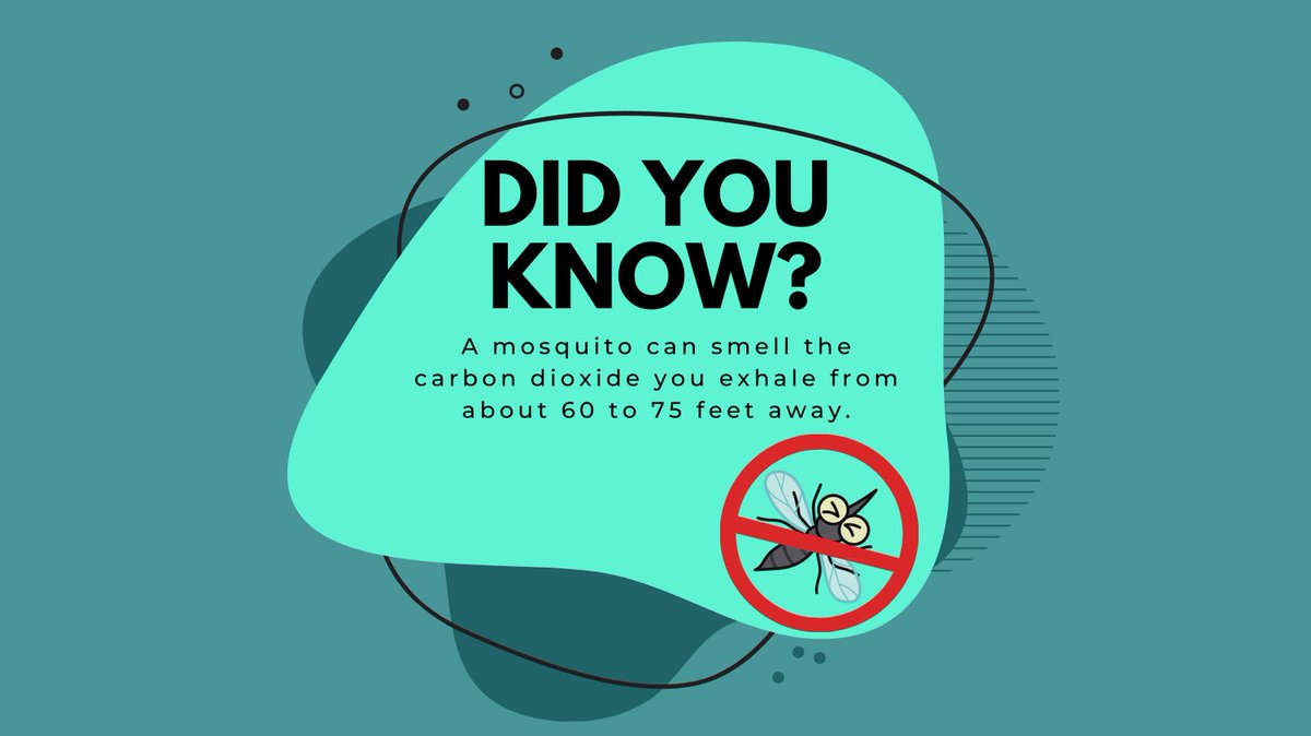 HCfightsthebite's tweet photo. Florida Mosquito Week Fact THREE
#FloridaMosquitoWeek #fightthebite https://t.co/3EWWFCvxY7