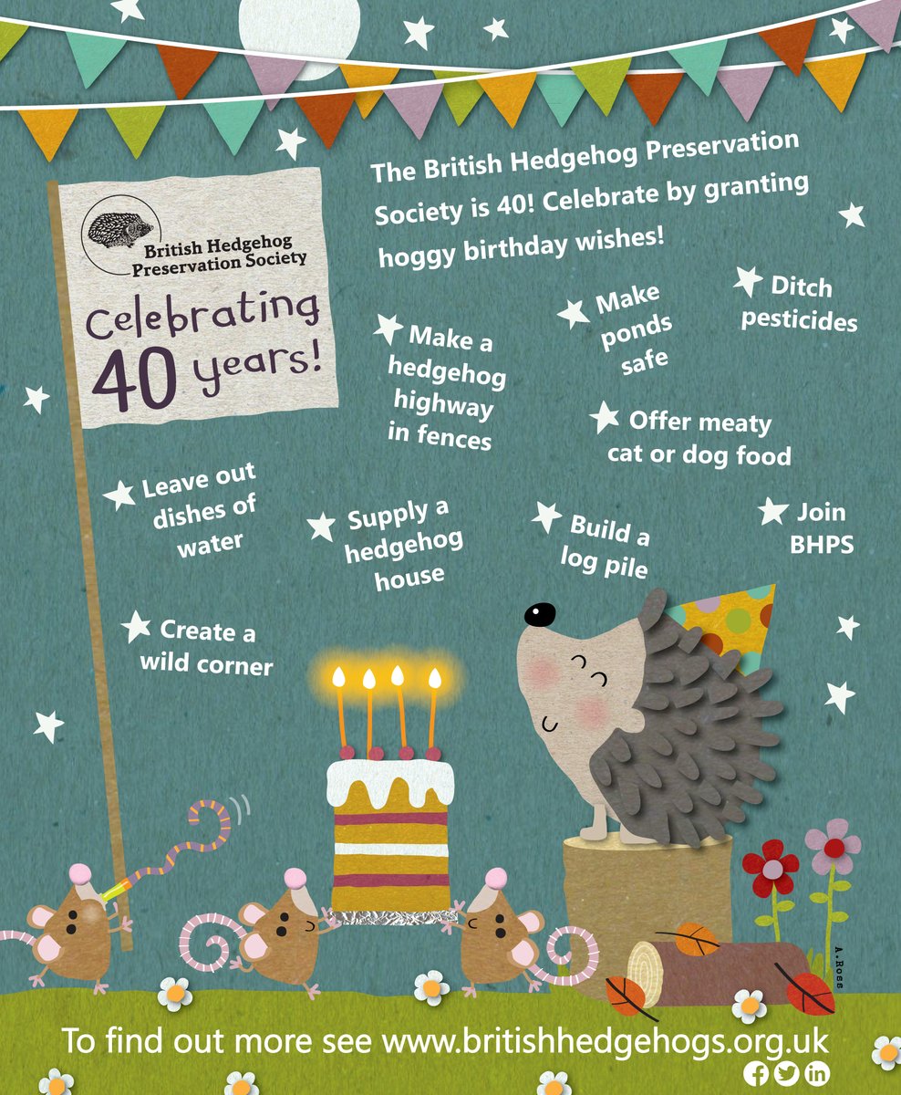 We are 40 years old today! Please share our hoggy birthday wishes for helping hedgehogs! #BHPSis40! #hedgehogweek begins tomorrow!