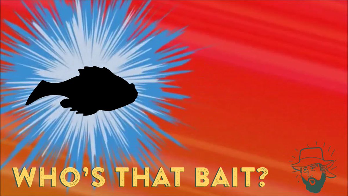MysteryTackleBx's tweet photo. #WhosThatBait https://t.co/XJAfkIrHSX