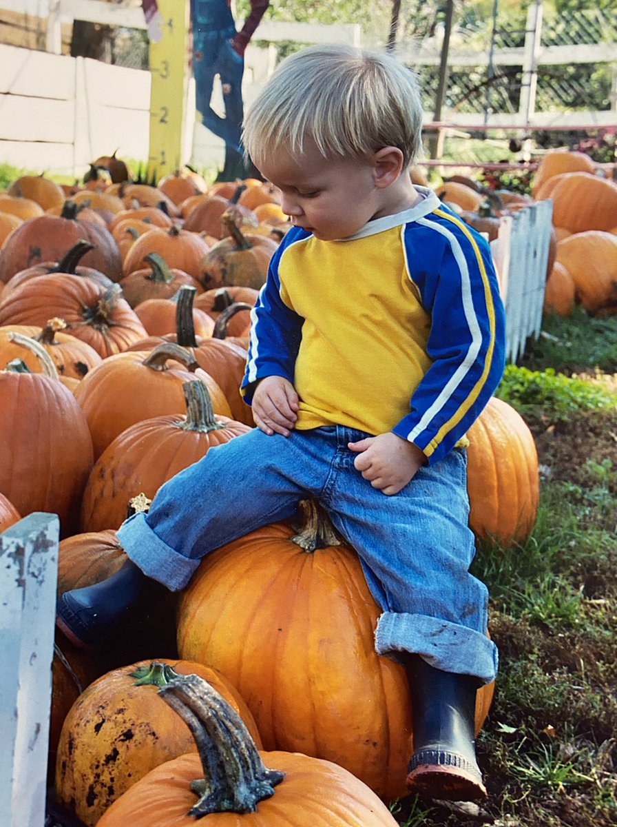 Kathy VanRooyan tweet media