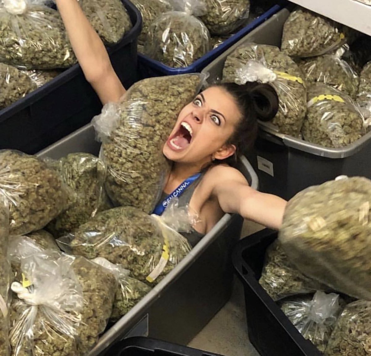 koalapuffss's tweet photo. Happy 4/20!!!! https://t.co/XDOYkcGe7V